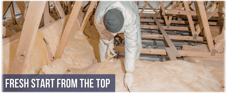 Attic Cleaning Arlington VA