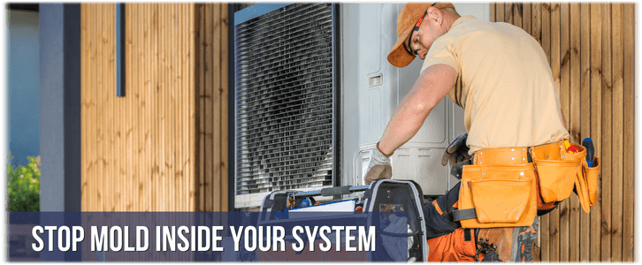 HVAC Mold Removal Arlington VA